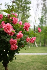 16EE9B8F-AD99-43ED-8C1E-02AB73AFAC5A/L0/001