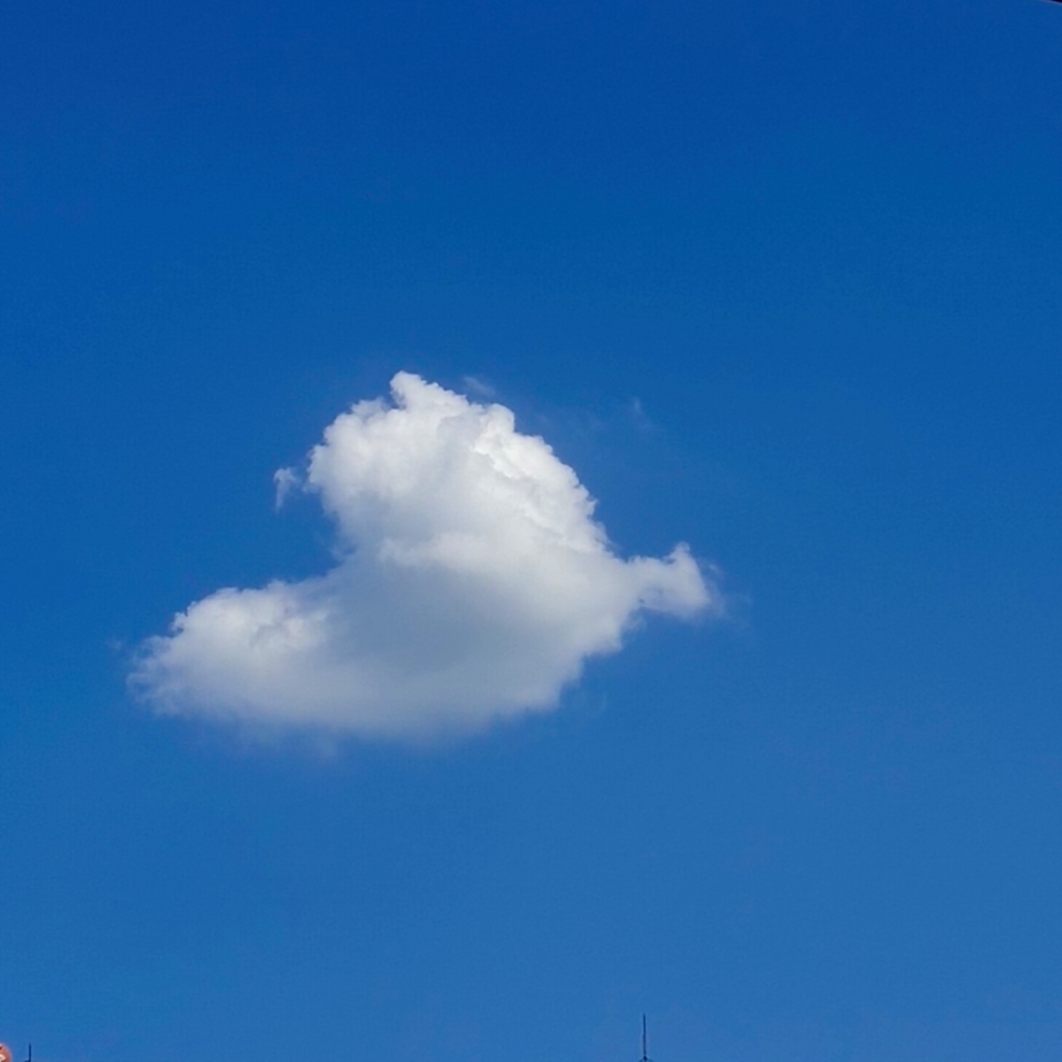 总是很喜欢软绵绵的云层很想在这样的天气坐一次飞机肯定很美好