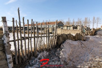 D3S_8564.JPG