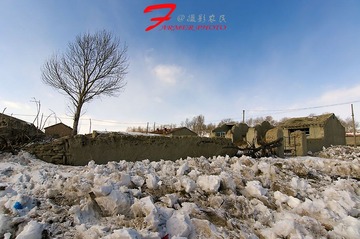 D3S_8858.JPG