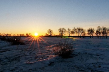 D3S_8511.JPG