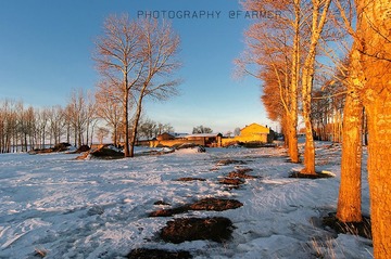 D3S_8517.JPG