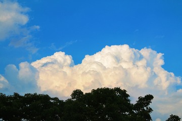 8F2F7258-7DAC-476E-ABC5-97D6C6B20313/L0/001