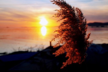 B5E970A6-B32B-46E8-8C9A-1C83680A101C/L0/001