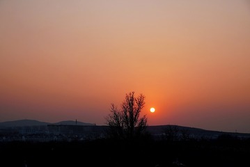 9561D96F-4509-4B4C-92A0-7A11489159F9/L0/001