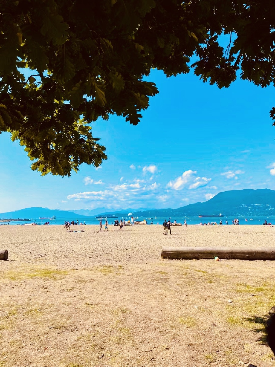 新加坡的小海滩