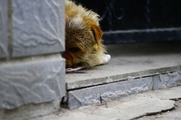 20120227-IMG_5504.jpg