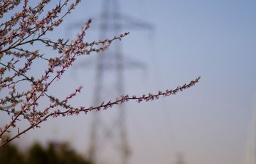 20120403-IMG_5909.jpg