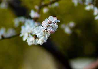 20120403-IMG_5928.jpg