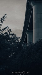 C382AC81-D900-4926-B399-3D0C3A7FB6B4/L0/001