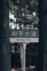 FBBE9AE3-F0DD-4E43-9F18-E4E2631E4822/L0/001