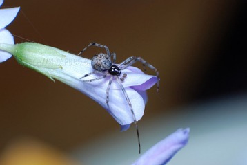 DSC_5861.jpg