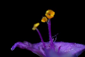 DSC_5811.jpg