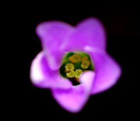 DSC_5824.JPG