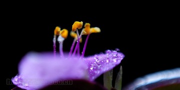 DSC_4500.JPG