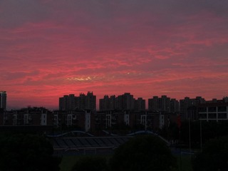 2247679C-8A56-4F37-B6B6-D2875F319F84/L0/001