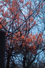 B3D7A15D-C330-457C-B878-D69E76C63B5F/L0/001