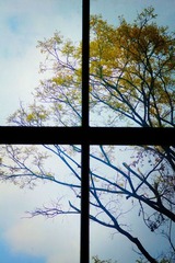 110309.jpg
