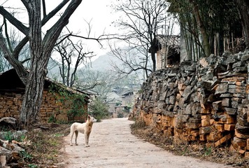 20120218-DSC07897ss.jpg