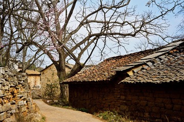 20120218-DSC07930ss.jpg