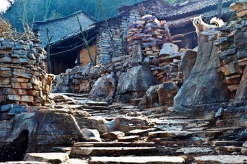 20120218-DSC08020SS.jpg