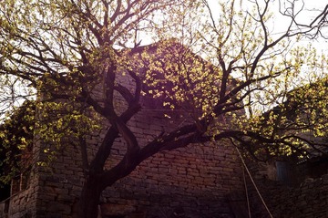 20120218-DSC07989ss.jpg