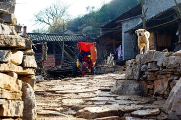 20120218-DSC08024ss.jpg