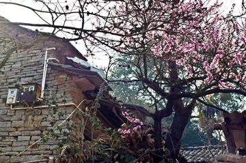 20120218-DSC08016SS.jpg