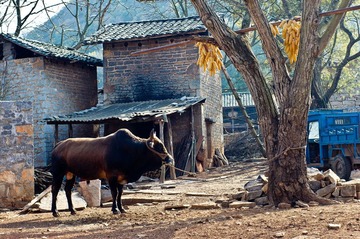 20120218-DSC08007ss.jpg