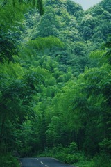 A93108B4-B790-4E96-80AC-CE7A53FF0477/L0/001