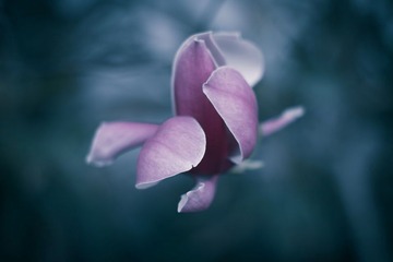 0024