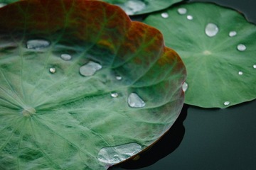 0F9409CA-FD4C-473C-821E-F4F8B2AA7DB2/L0/001