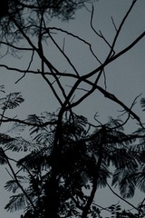 B64A9009-430D-418B-81A3-C7D9B9788767/L0/001