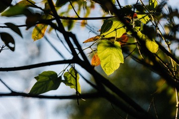 3E8BF26C-A530-4FF0-97F8-D4A40D742517/L0/001