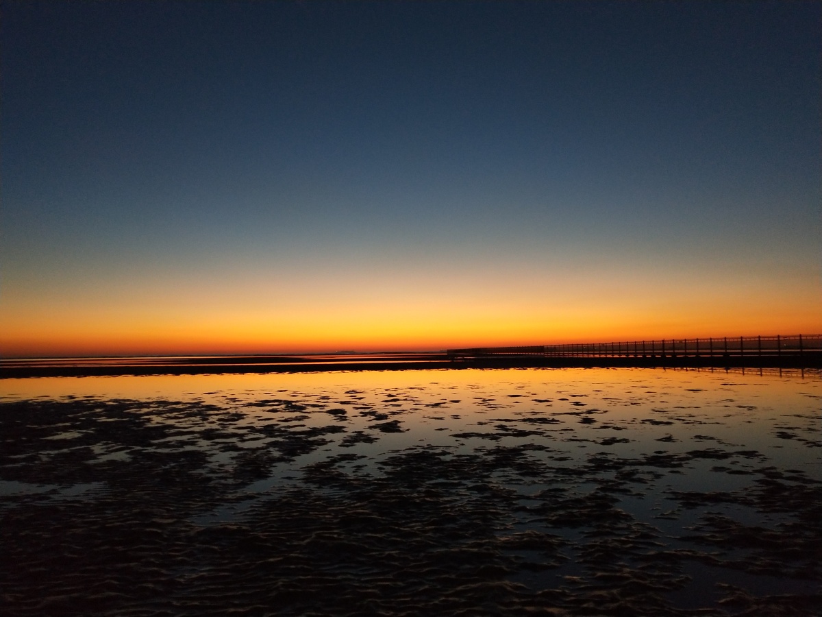 说出来你可能不信那是朝阳朝阳朝阳不接受反驳