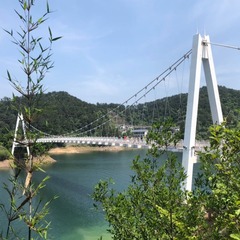 03397E2D-07A3-418B-B863-210EC7B69F88/L0/001