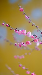 9A90C30E-5640-4793-B71A-14616D2D5D90/L0/001