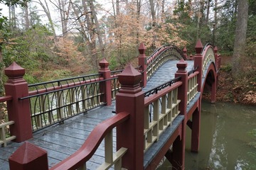 DSCF0423.JPG