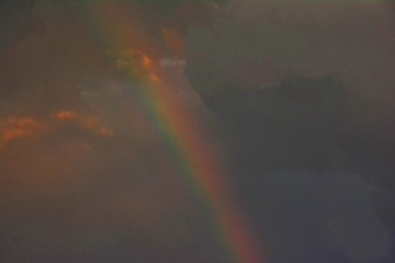 89F6CB7E-766C-463D-B13E-C1C3BBB4C608/L0/001