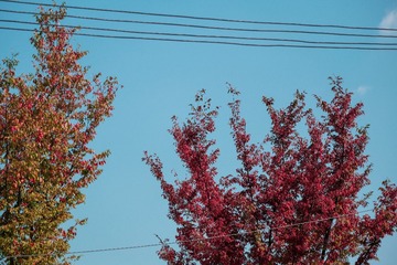 BA6BCF4D-9858-4898-90E7-59A9829C0395/L0/001