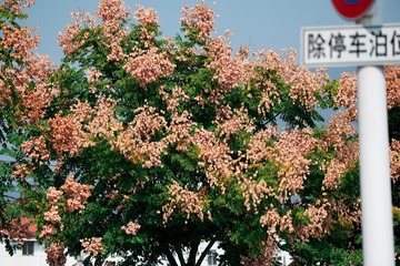 0F1EF196-0B6F-4946-A219-6B56BC7B4148/L0/001