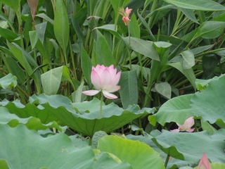DSC00764.JPG