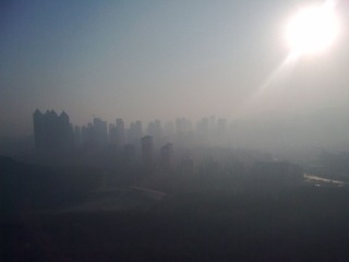 20100131_002.jpg