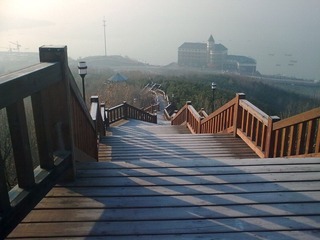 20100131_004.jpg