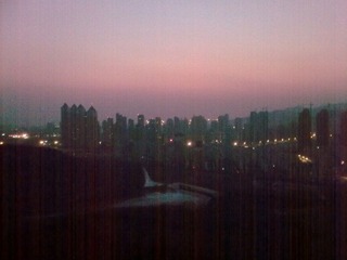 20120203_004.jpg