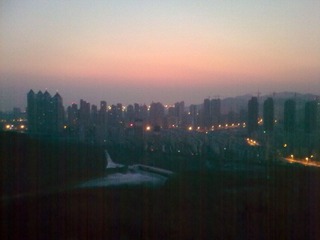 20120203_005.jpg