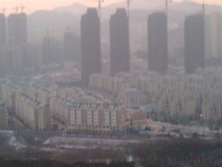 20120203_007.jpg
