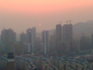 20120203_008.jpg