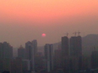 20120203_009.jpg
