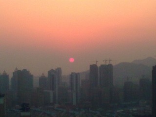 20120203_010.jpg